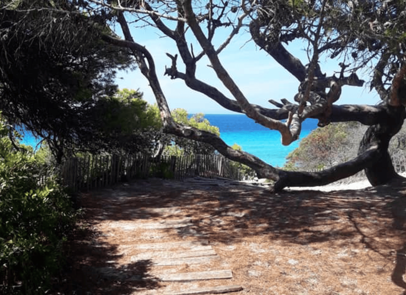 Fra Calvi: 4x4-dagstur til bjergene og Agriates' Saleccia-strand