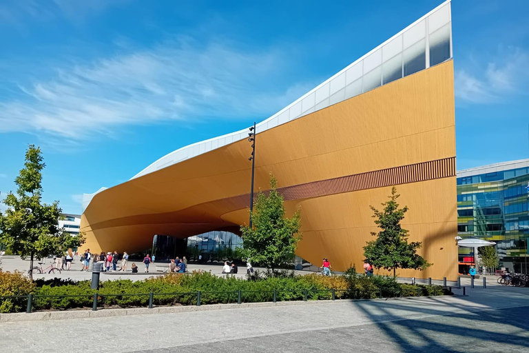 Helsinki wandeltour met een socioloogHelsinki: Wandeltour van 3 uur