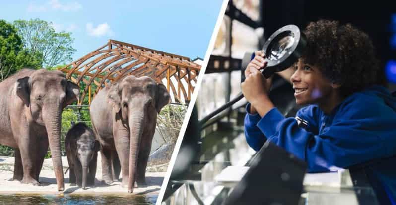 Amsterdam: Artis Royal Zoo & ARTIS-Micropia Combo Ticket