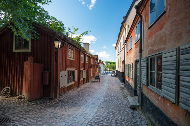 Skansen Stockholm Fast-Track biljetter, privat tur3 timmar: Skansen rundtur