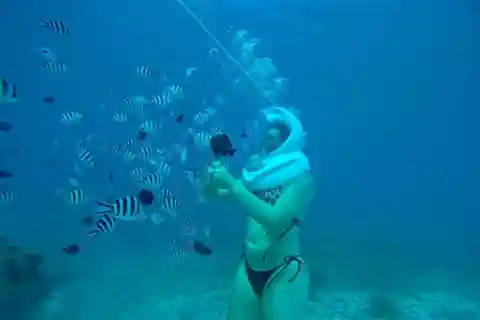 Zanzíbar: Experiencia de Paseo Submarino