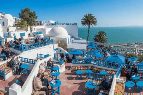 From Hammamet or Nabeul: Half-Day Tour to Sidi Bou Said, Carthage, Medina