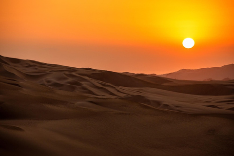 Från Paracas: Buggy-tur i Paracas nationalreservatMötesplats