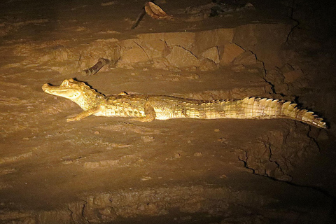 Tambopata: 2-Day Wildlife Tour With Jungle Lodge Stay