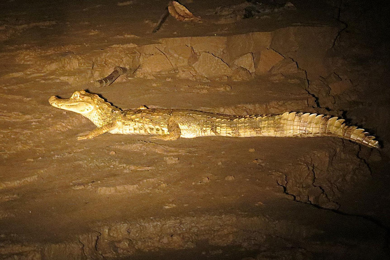 Tambopata: 2-Day Wildlife Tour With Jungle Lodge Stay