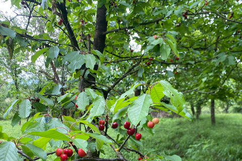 From Tirana/Durres: THINK GLOBAL, ACT AS A LOCAL