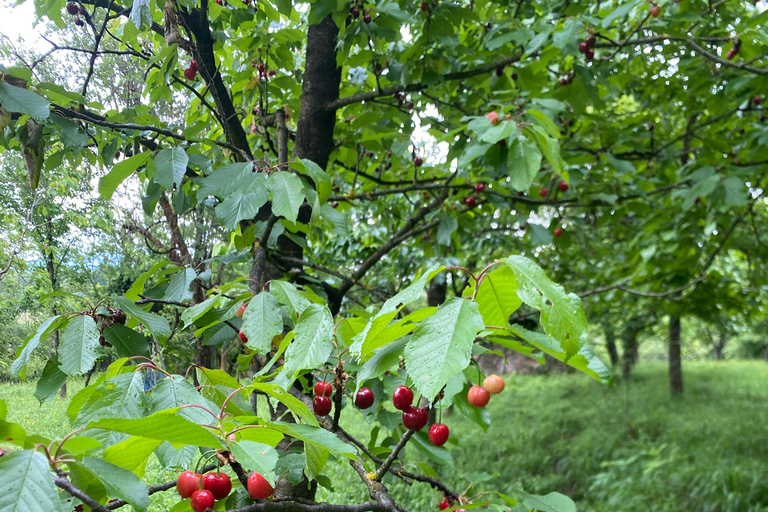 From Tirana/Durres: THINK GLOBAL, ACT AS A LOCAL