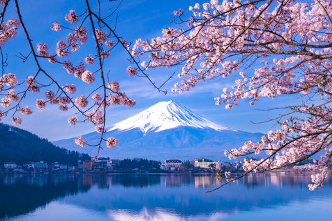 Depuis Tokyo : Visite en bus de la 5e station du mont Fuji et du lac Kawaguchi