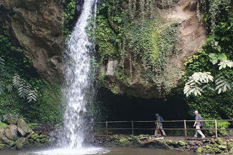 Nordeste Waterfalls Half day Hike Private Nordeste Waterfalls Experience