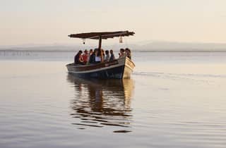 Valencia: Albufera-Express 3 Std. + Bootsfahrt + Guide + Getränk