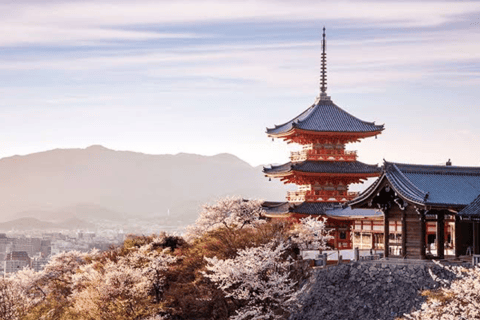 Von Osaka aus: Kyoto Ganztagestour Private Tour nach MaßToyota Alphard 0-5