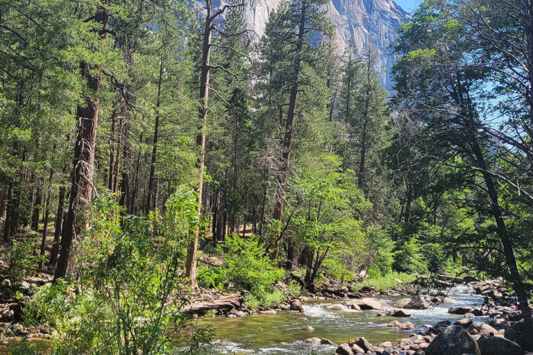 Los Angeles : visite des parcs nationaux de Yosemite et de Sequoia