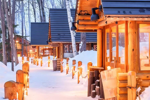 One-Day Tour to Asahiyama Zoo and Biei Blue Pond in Hokkaido