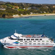 Melbourne: Wildlife, Hot Springs & Searoad Ferry Day Tour