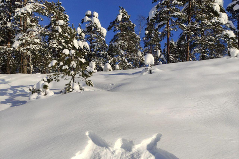 Levi: Snowshoe Survival Experience