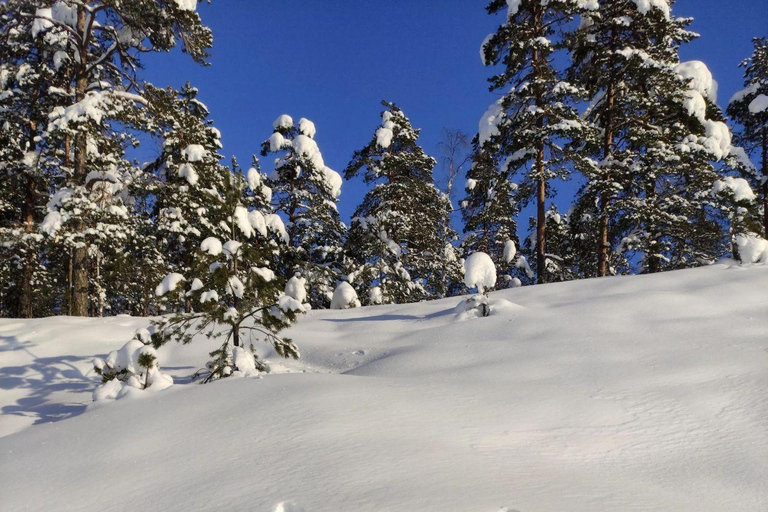 Levi: Snowshoe Survival Experience