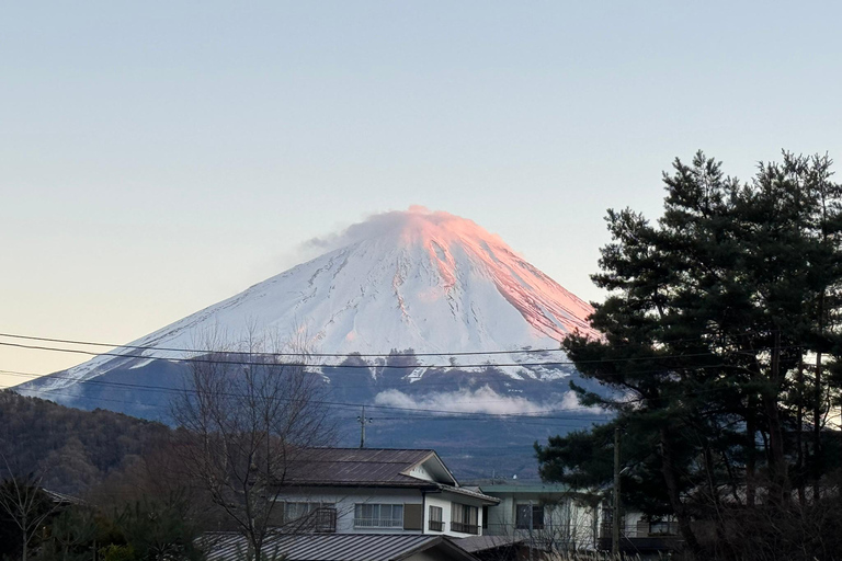 Depuis Tokyo : Excursion privée d&#039;une journée au Mont Fuji et à Hakone