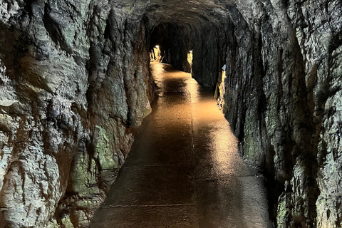 Pilatus, Aareschlucht en St. Beatusgrotten: tour vanuit Bazel