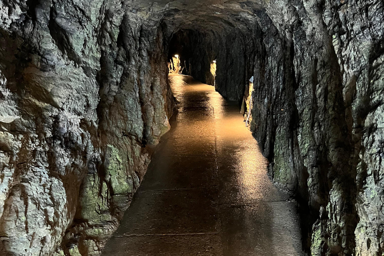 Pilatus, Aareschlucht en St. Beatusgrotten: tour vanuit Bazel