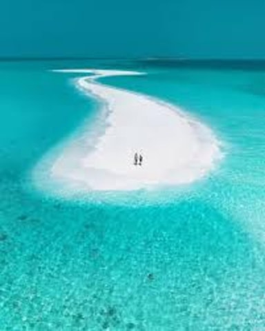 ZANZIBAR:Amazing tour Nakupenda SandBank with fruits