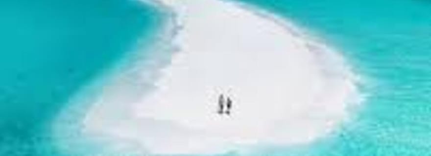 ZANZIBAR : Excursion exceptionnelle à Nakupenda SandBank avec fruits