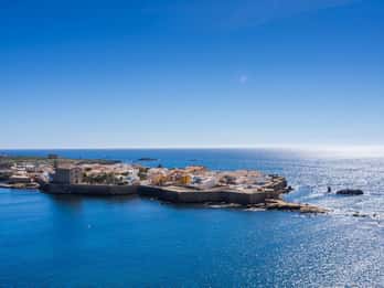Da Alicante/Benidorm: Isola di Tabarca e Saline di Santa Pola