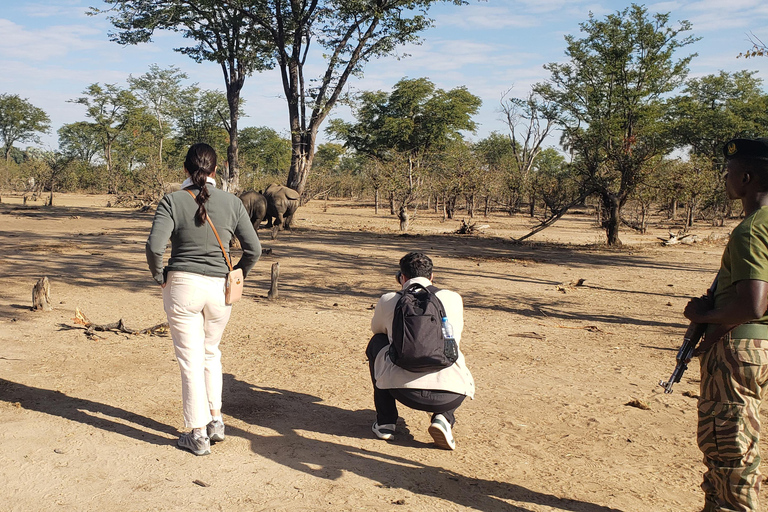 Livingstone: Mosi-oa-Tunya National Park White Rhino Tour