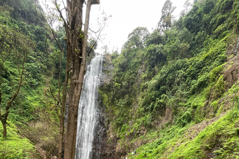 莫希：城镇之旅 - 购物、瀑布、咖啡之旅和午餐莫希：仅参观马特鲁尼瀑布徒步（含午餐）