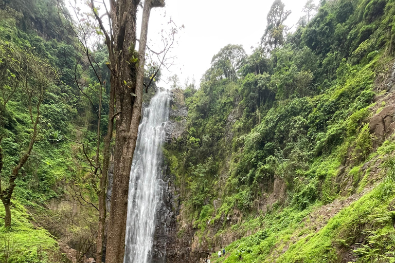 莫希：城镇之旅 - 购物、瀑布、咖啡之旅和午餐莫希：仅参观马特鲁尼瀑布徒步（含午餐）