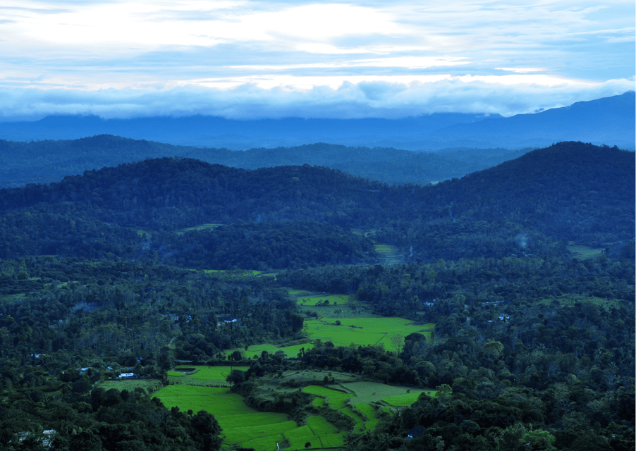 Dagtrip naar Tala Kaveri (geleide tour met een auto vanuit Coorg) - Hizvo