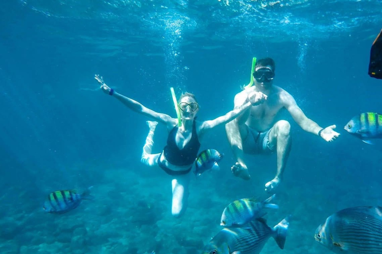 Boa Vista: Snorkeling Tour to 2 Reefs on Djeu Island Group Tour - Uninhabited island snorkel