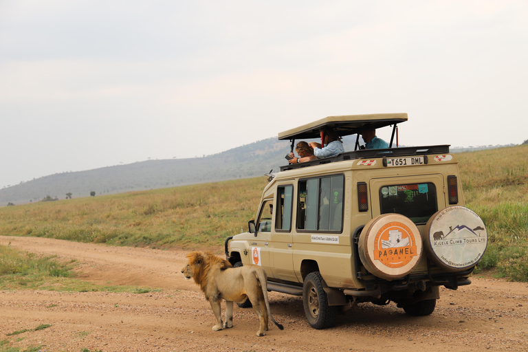 Tanzania: 2 daagse safari Tarangire & Ngorongoro krater