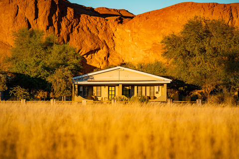 10 jours de safari en Namibie