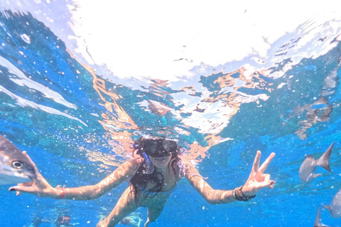 Playa del Carmen: On Board to Cozumel Tour with Lunch