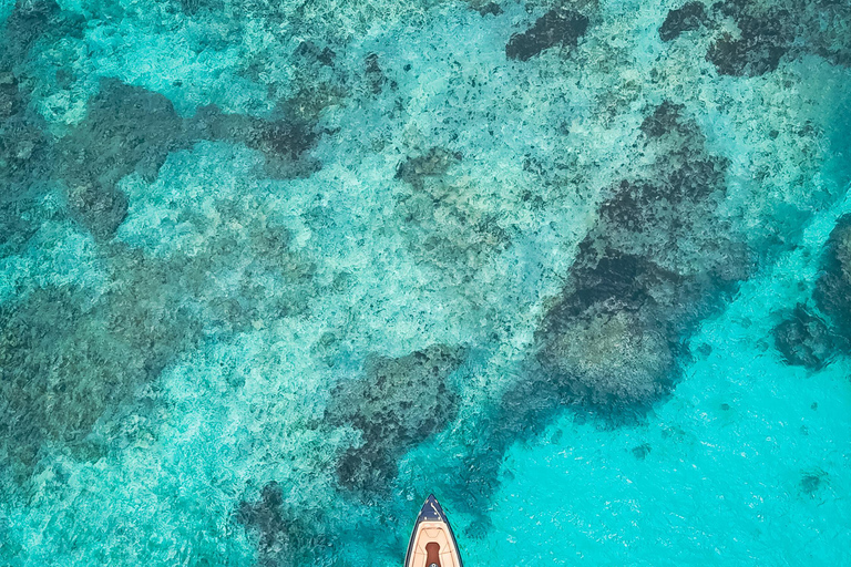From Cartagena: Rosario Islands Private Boat Tour
