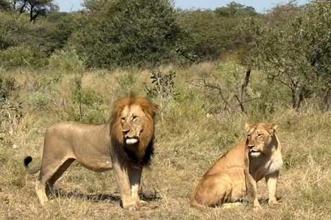 Victoria Falls safari Game Drive