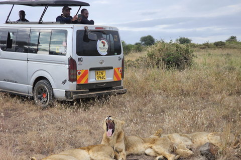 Nairobi Park Safari, Sheldrick's Orphanage & Giraffe Center Shared Drive in Open-Roof Van Game Drive