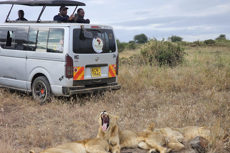 Nairobi Park Safari, Sheldrick's Orphanage & Giraffe Center Shared Drive in Open-Roof Van Game Drive