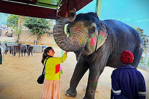 Jaipur: Full-day Sightseeing Jaipur City Private Tour by car