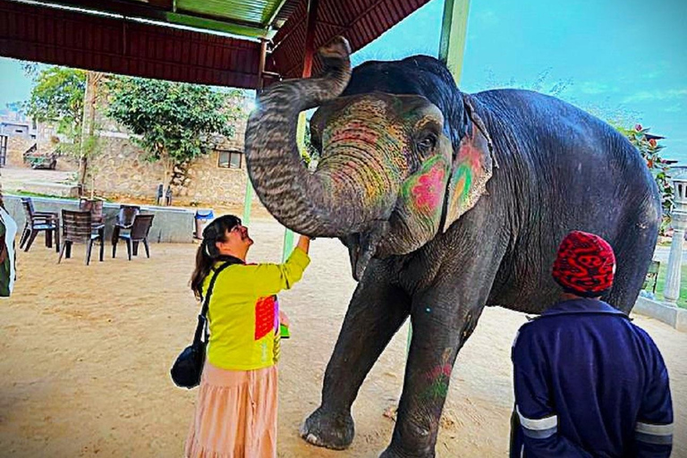 Jaipur: Full-day Sightseeing Jaipur City Private Tour by car