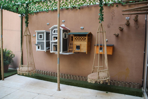 Malaga centro historico: Paws For A Moment Cat Cafe