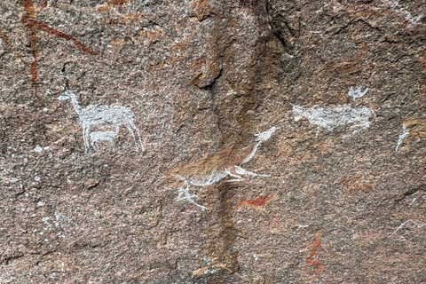 Maputo: Mkhuzweni Rock Art Site Day Tour