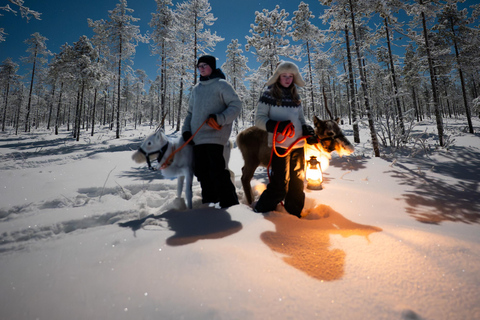 Ranua: Lupland Aurora Activity Park – After Dark Adventure