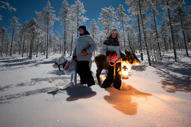 Ranua: Lupland Aurora Activity Park – After Dark Adventure