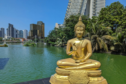 Colombo: Lotus Tower 360° Revolving Buffet & Tuk-Tuk Safari Meet at Lotus Tower Entrance: Restaurant Lunch/Dinner Buffet
