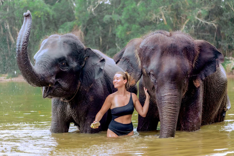 Phuket: Elephant Sanctuary Gentle Giants matningsäventyr