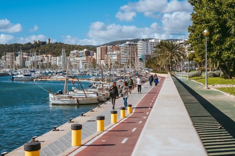 Circuit pédestre et pique-nique à Majorque (ville, nature, plage)