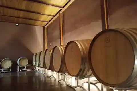 Volterra: Visita guiada a uma adega e experiência com degustação