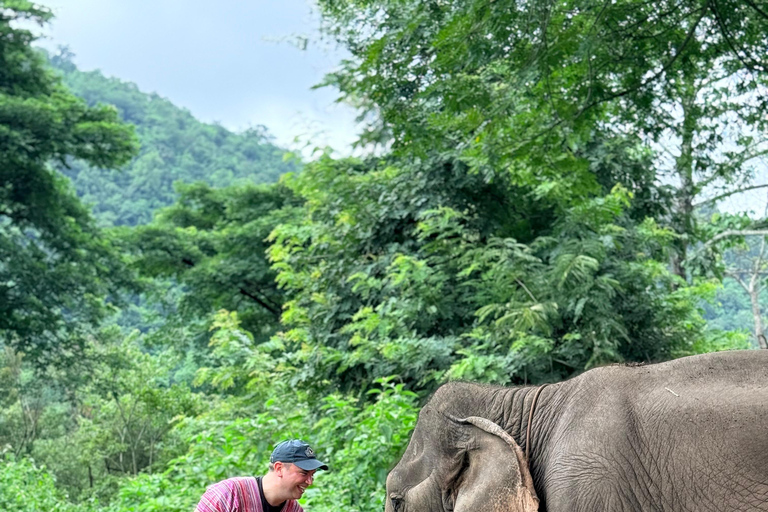 Chiang Mai Adventure: Rafting, ATV & Elephants Experience. Bamboo rafting (4km.) & 1 hrs. ATV.