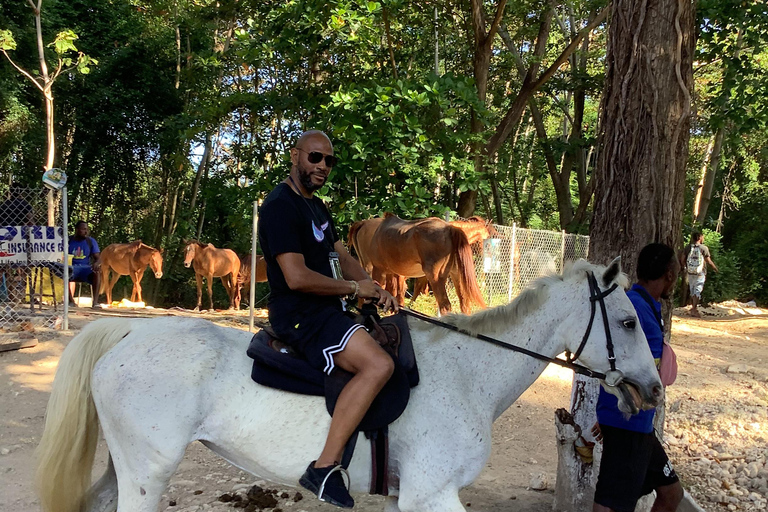 Montego Bay: Horseback Riding and Dunn's River Falls Tour